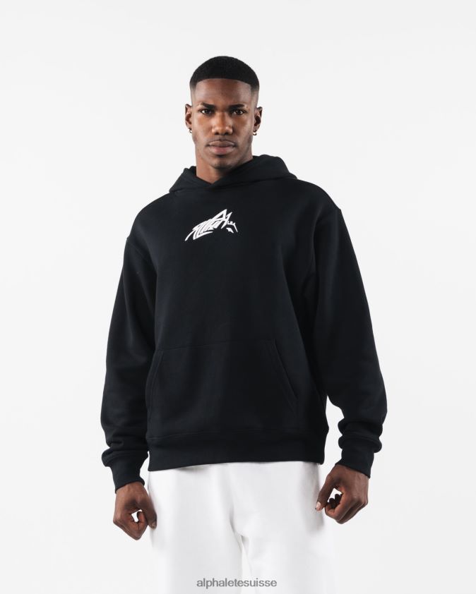 unisexe vêtements 46FZDN272 Alphalete sweat à capuche au pochoir noir