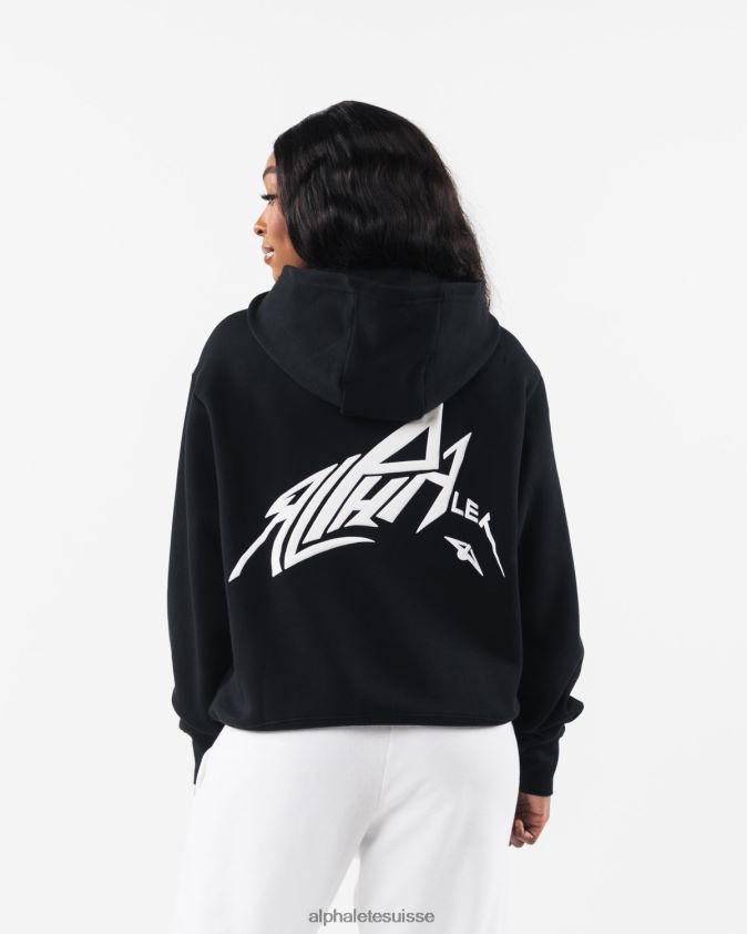 unisexe vêtements 46FZDN272 Alphalete sweat à capuche au pochoir noir