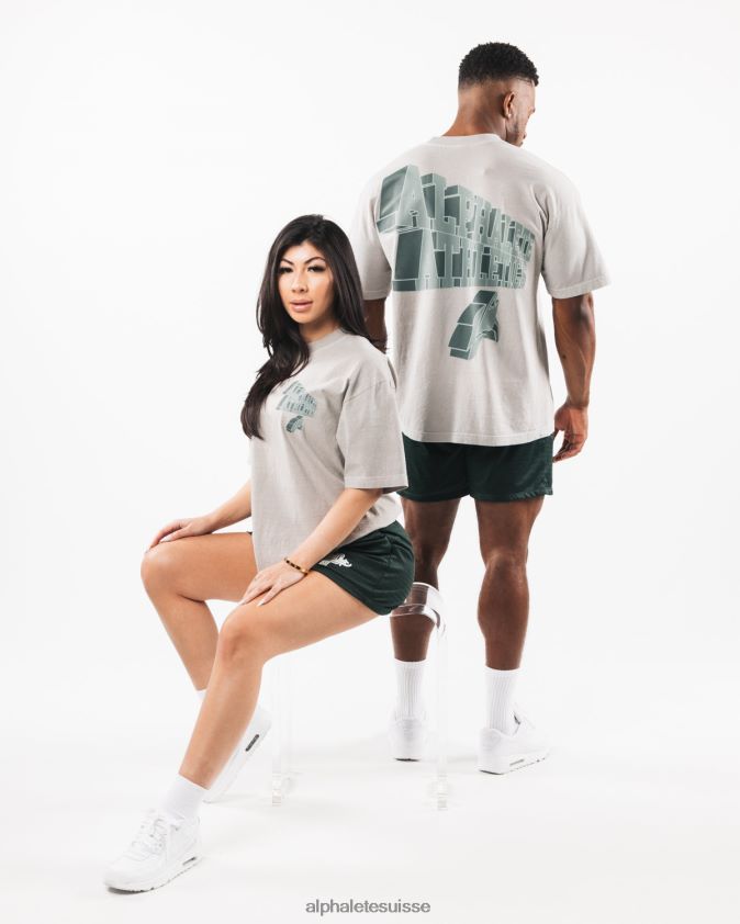 unisexe vêtements 46FZDN545 Alphalete tee dimensionnel gris argenté foncé